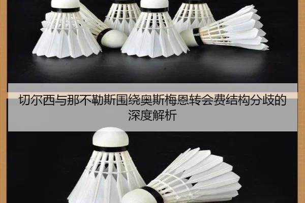 切尔西与那不勒斯围绕奥斯梅恩转会费结构分歧的深度解析